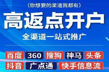 某品牌的信息流广告投放策略及效果展示